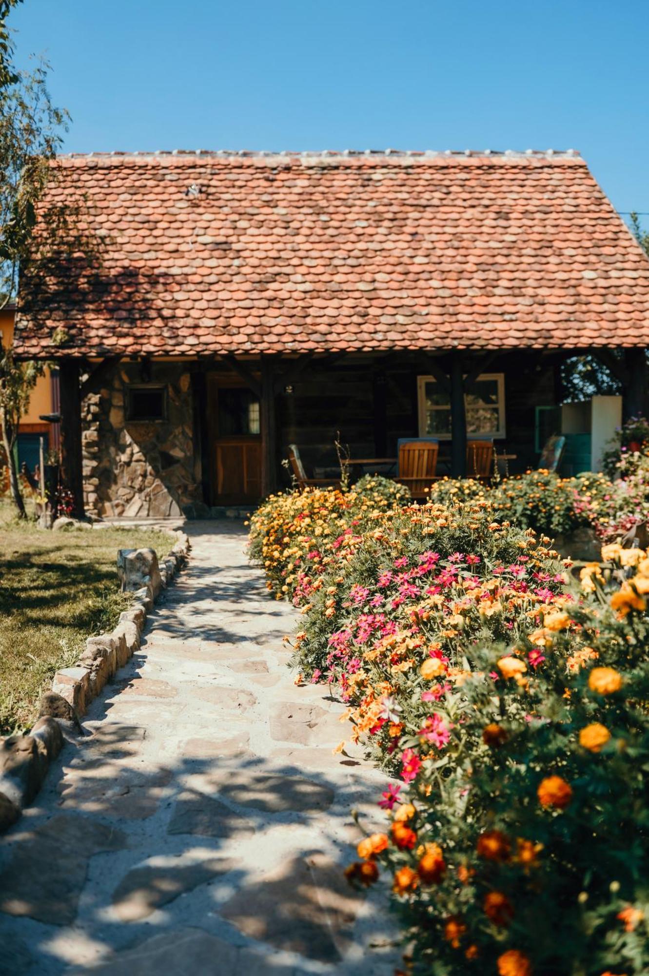 Vila Magaze De Luxe Gradacac Exteriér fotografie