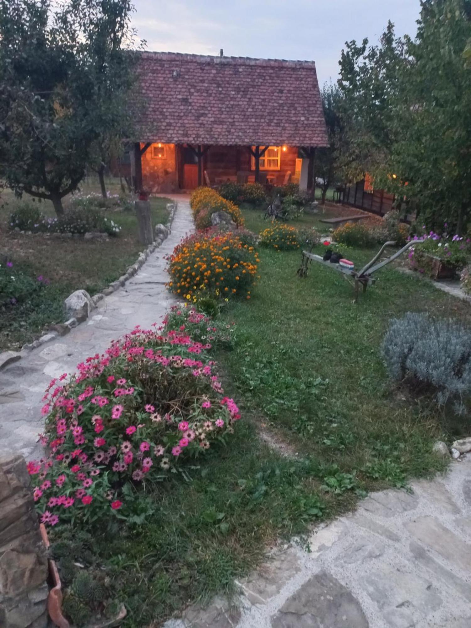 Vila Magaze De Luxe Gradacac Exteriér fotografie
